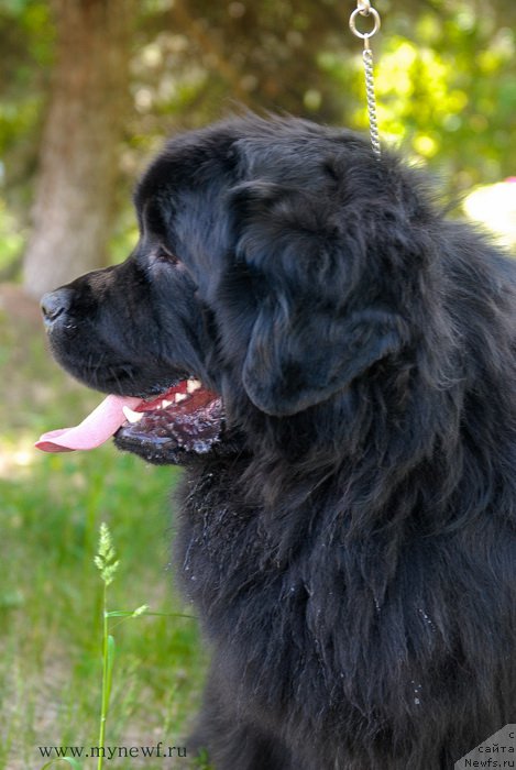 Фотография № 155313