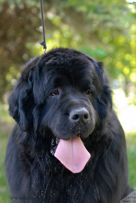 Фотография № 155325