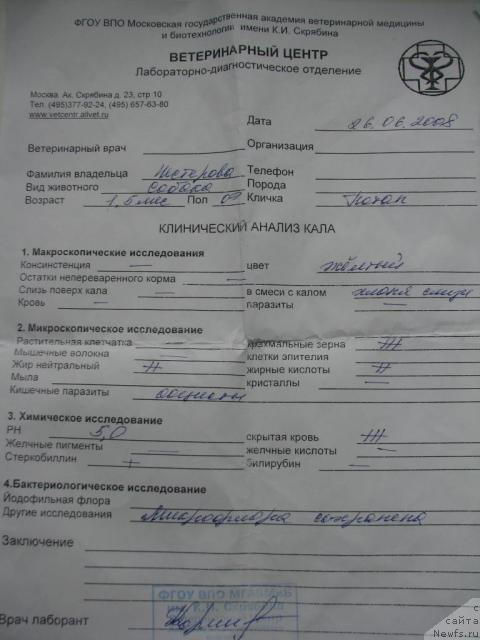 Фото: анализ из ветеринарной академии К.И. Скрябина