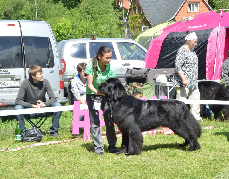 Фотография № 155351