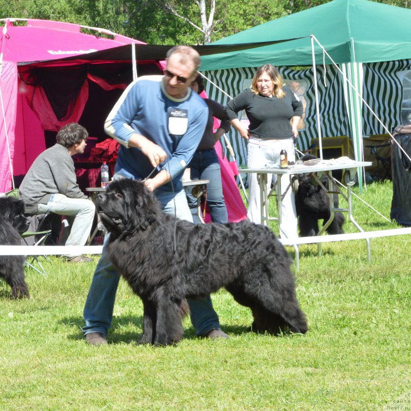 Фотография № 155353