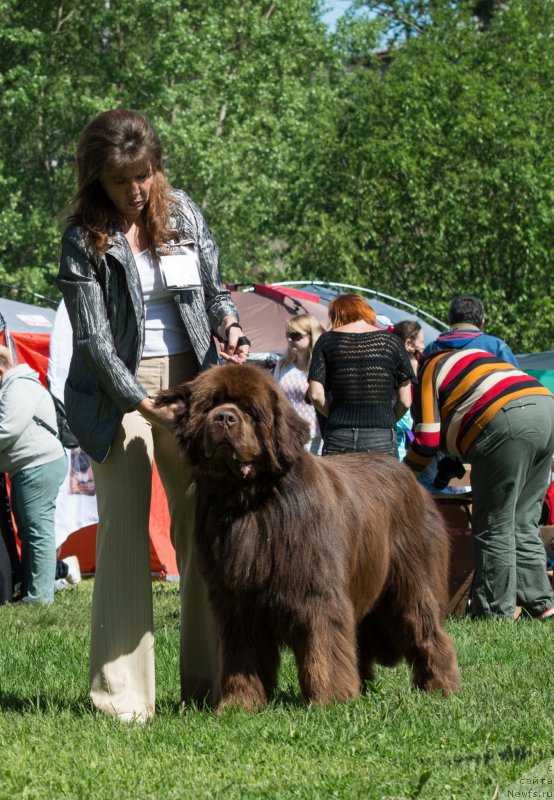 Фотография № 155360