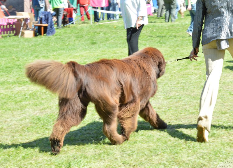 Фотография № 155362