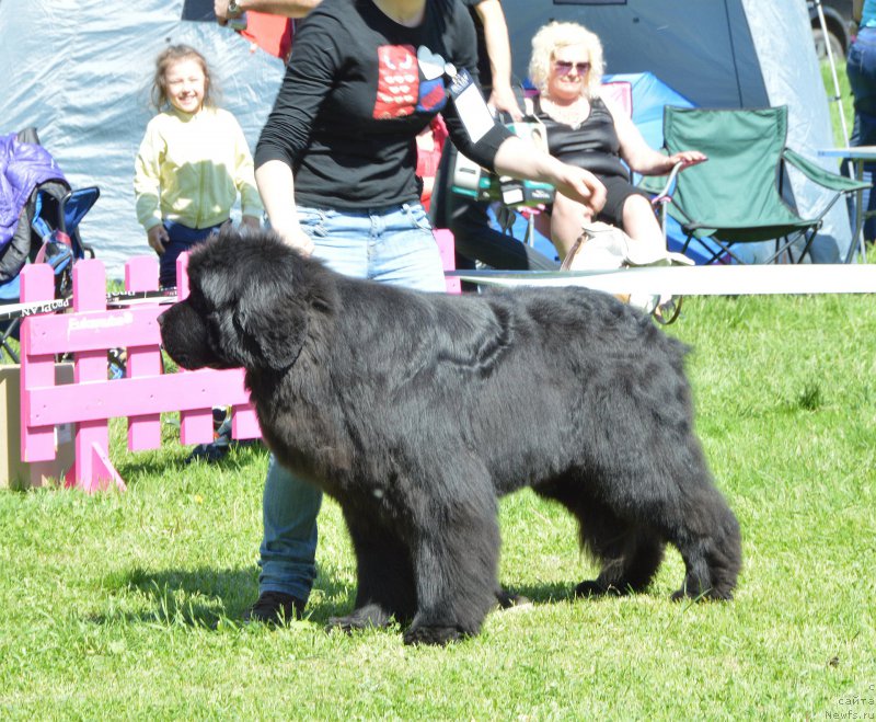 Фотография № 155366