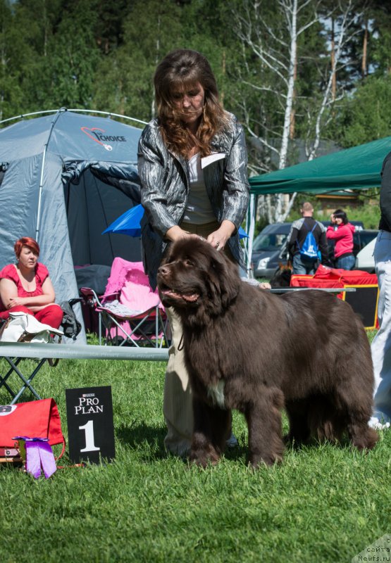 Фотография № 155368