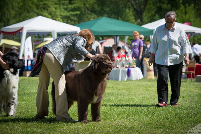 Фотография № 155370