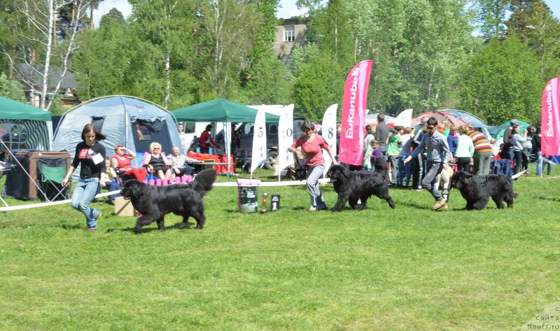 Фотография № 155377