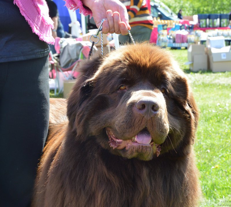 Фотография № 155390