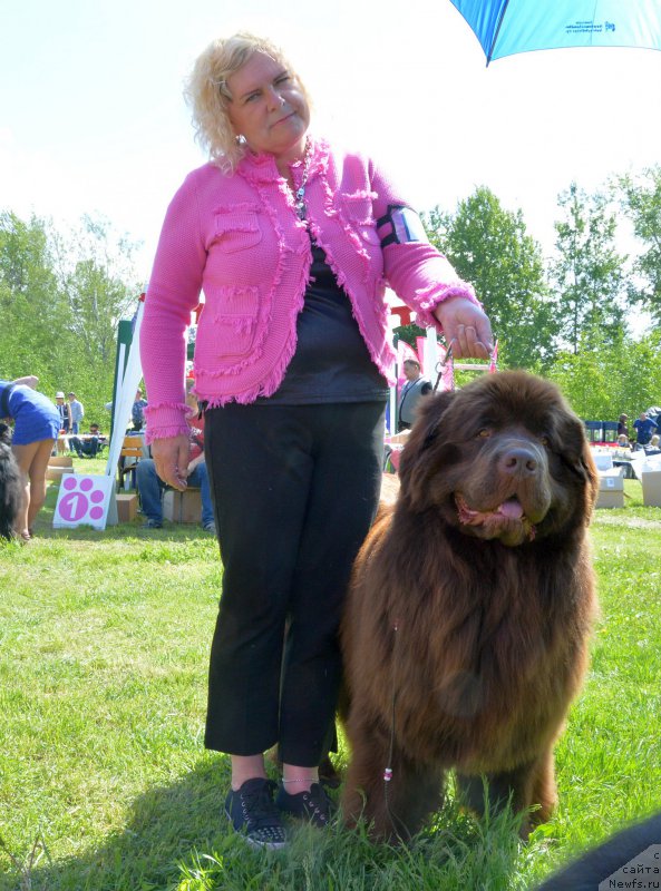 Фотография № 155392