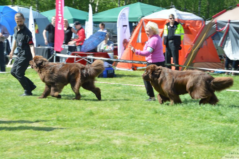 Фотография № 155395