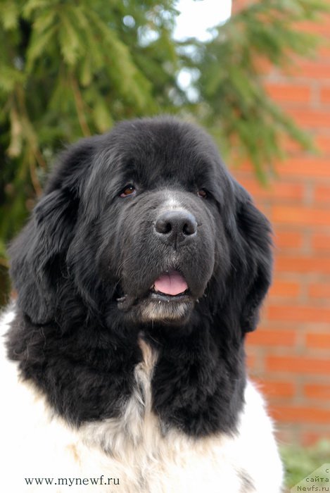 Фотография № 155407