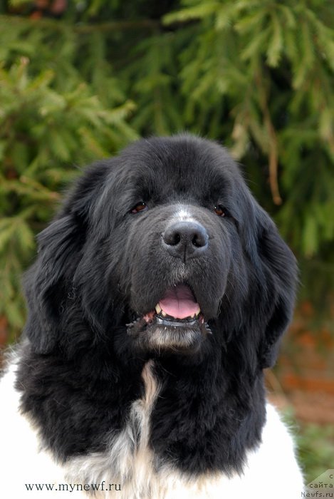 Фотография № 155408