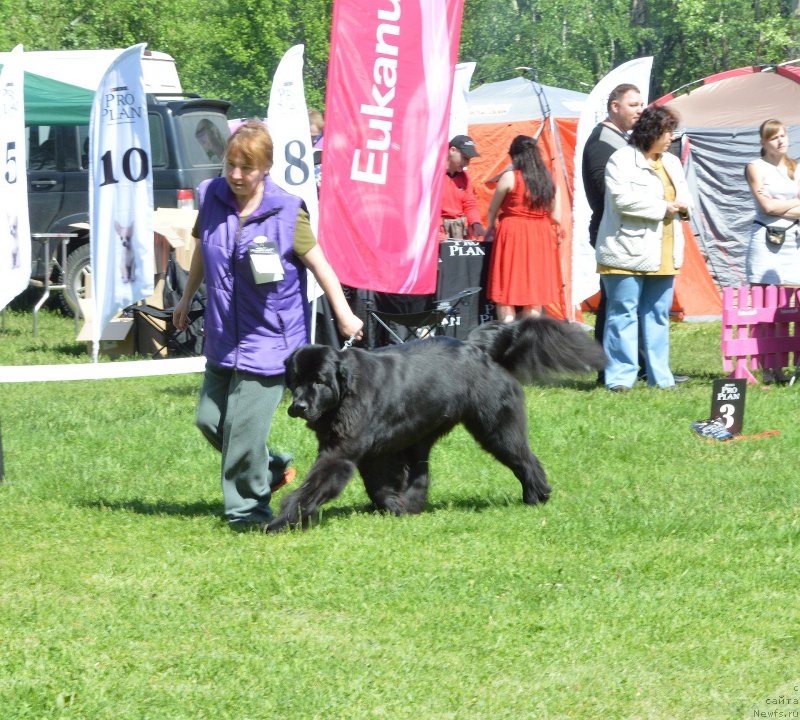 Фотография № 155425