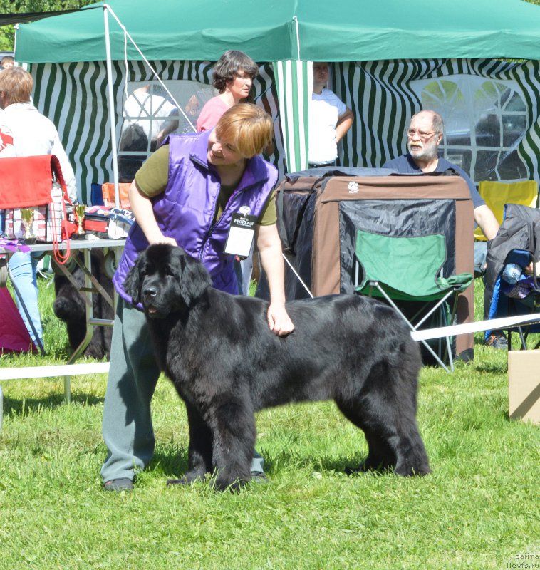 Фотография № 155426