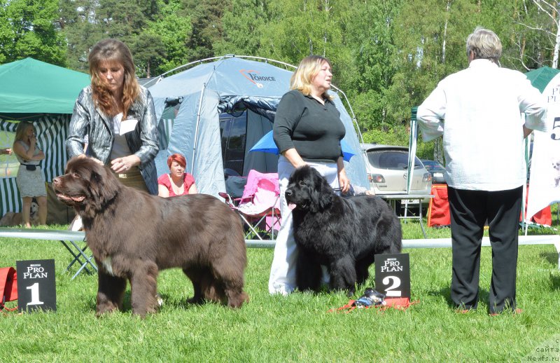 Фотография № 155429