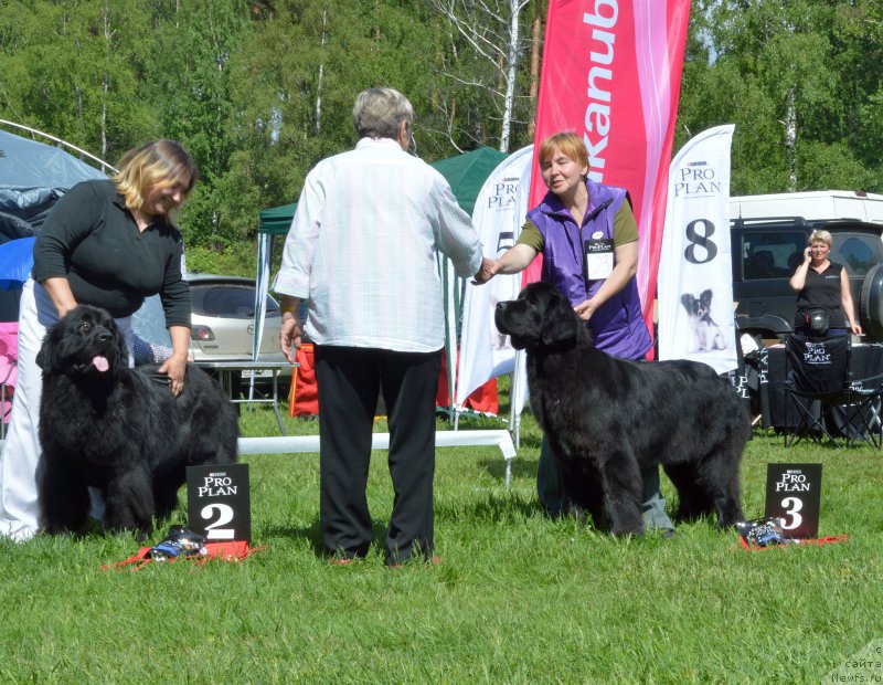 Фотография № 155431