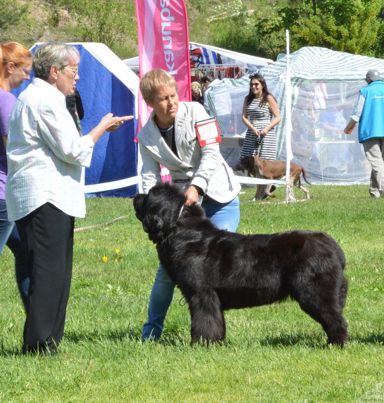 Фотография № 155436