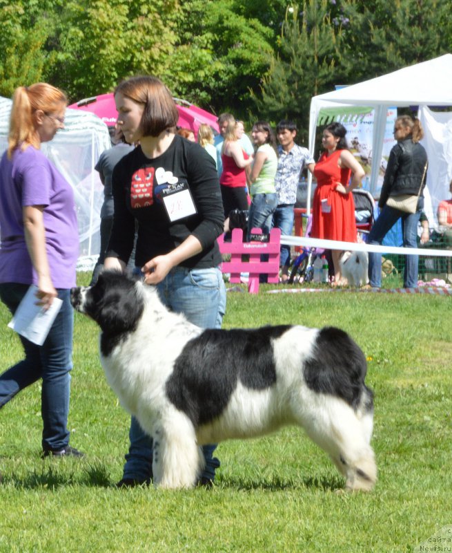 Фотография № 155438