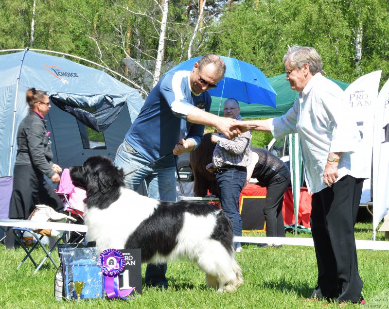 Фотография № 155445