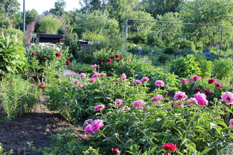 Фотография № 155458