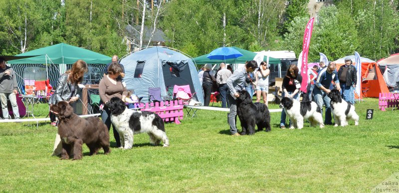 Фотография № 155465