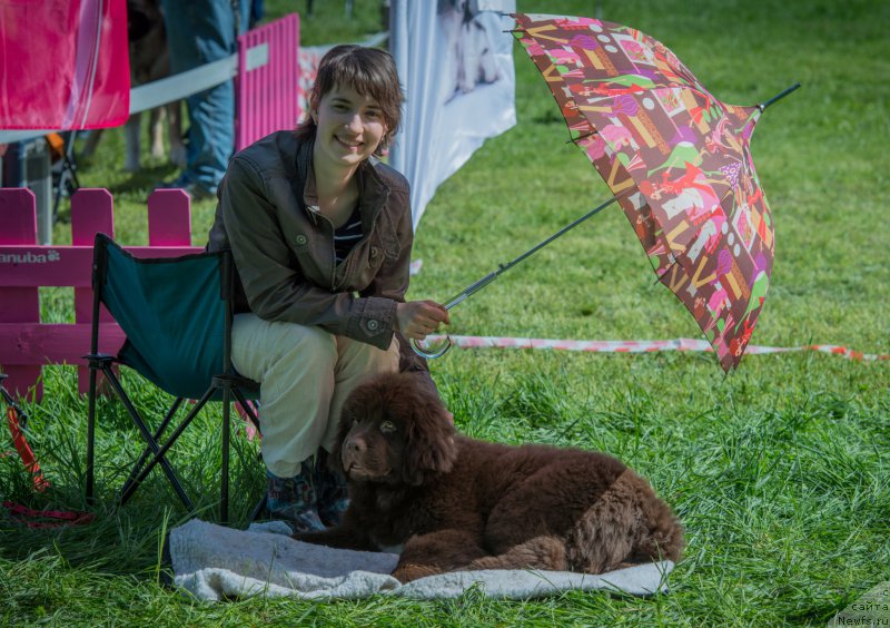 Фотография № 155476