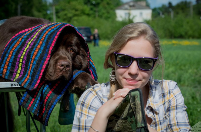 Фото: ньюфаундленд Aquatoriya Kelvin Heather Honey (Акватория Келвин Хизер Хани), Александра