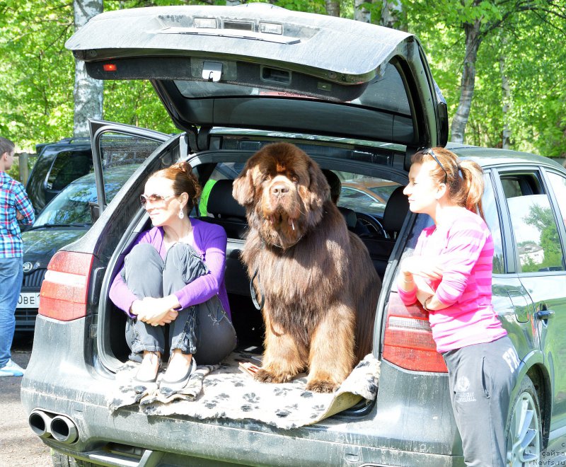 Фотография № 155483