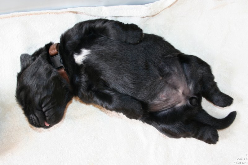 Фотография № 155491