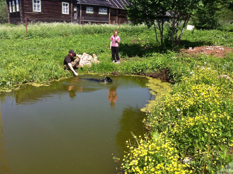 Фотография № 155495