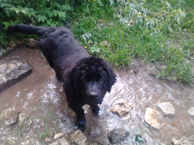 Фотография № 155496