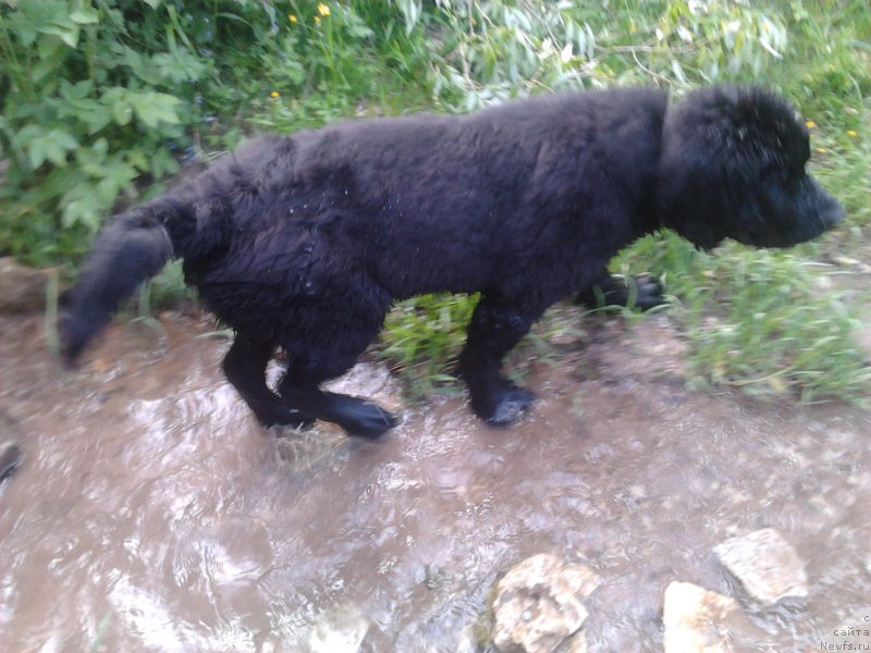 Фотография № 155497