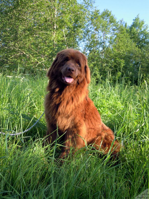 Фотография № 155588