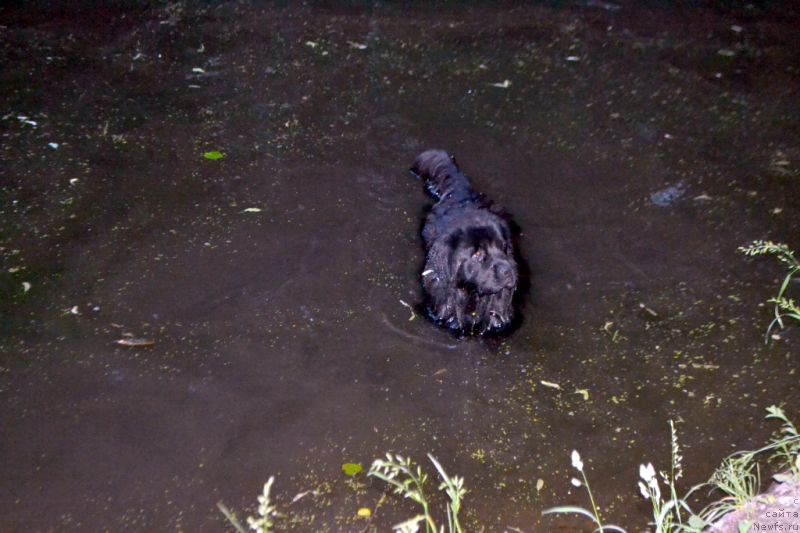 Фотография № 155602