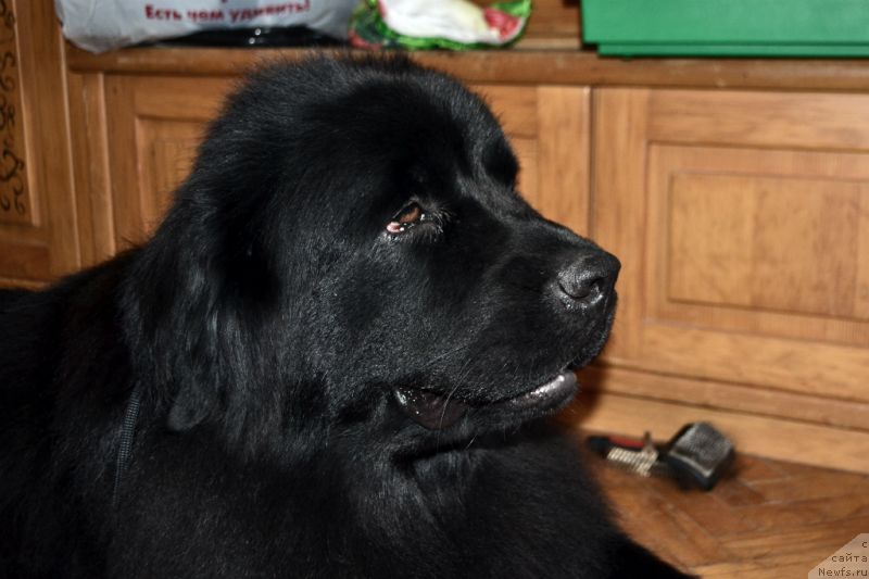 Фотография № 155605