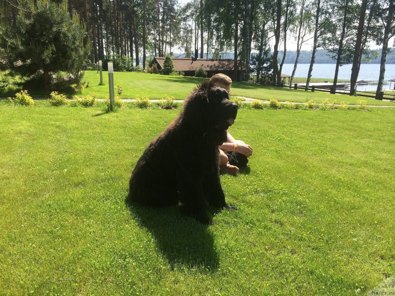 Фотография № 155609