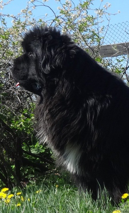 Фотография № 155622