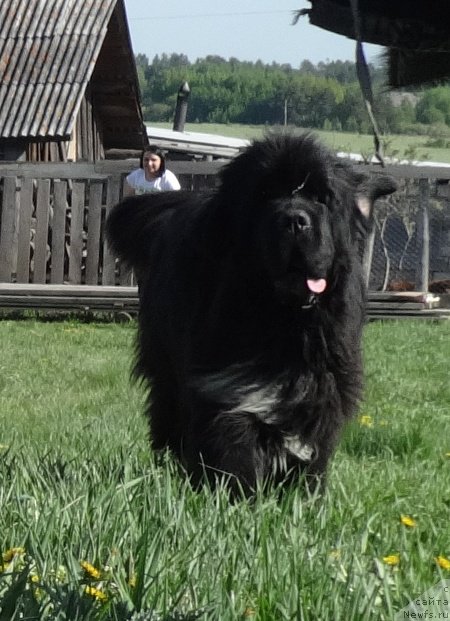 Фотография № 155628