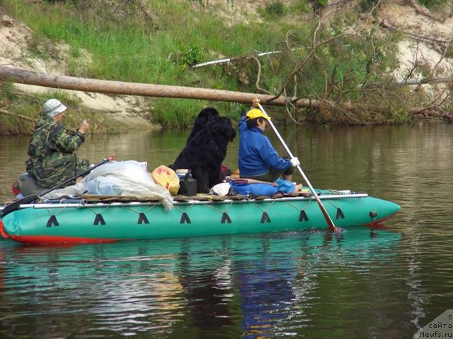 Фотография № 15585