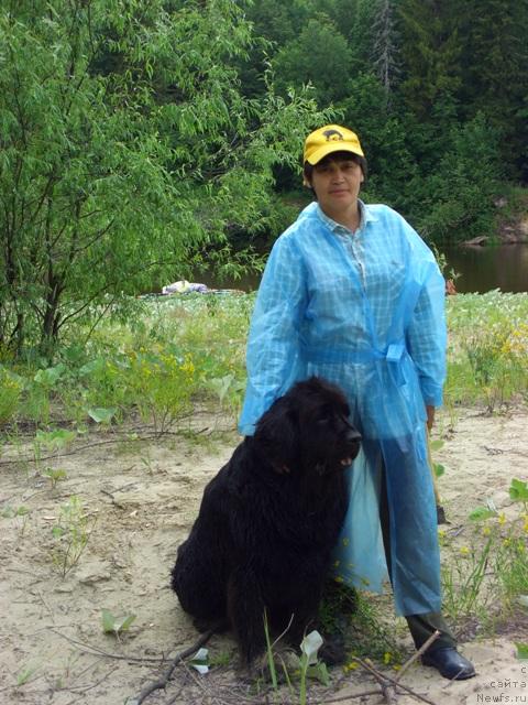 Фото: ньюфаундленд Lesnaya Skazka Lunnaya Sonata (Лесная Сказка Лунная Соната)