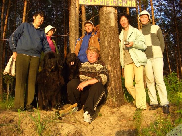 Фото: ньюфаундленд Akin Soul Sofiya (Акин Соул София), ньюфаундленд Lesnaya Skazka Lunnaya Sonata (Лесная Сказка Лунная Соната)