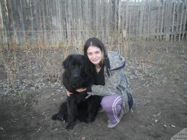 Фото: Anna YAkimceva (Анна Якимцева)