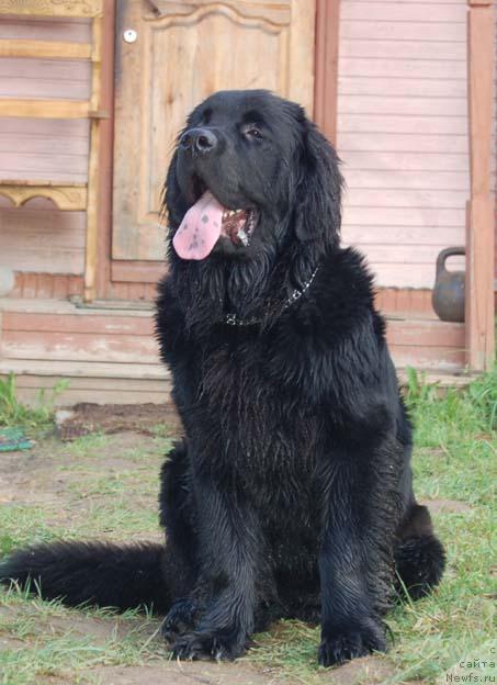 Фотография № 15595