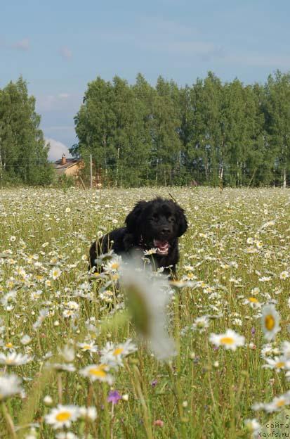 Фотография № 15596