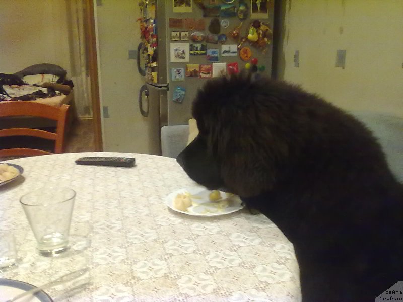 Фотография № 155969