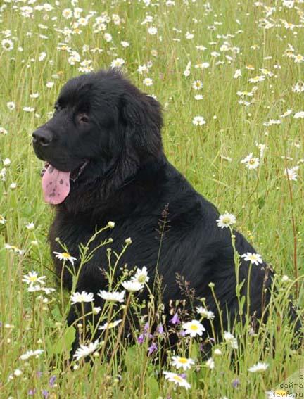 Фотография № 15597