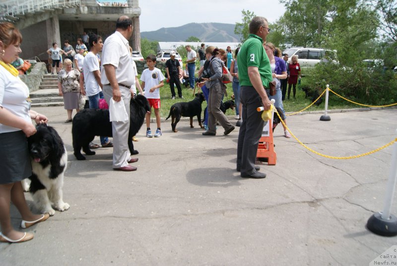 Фотография № 155981