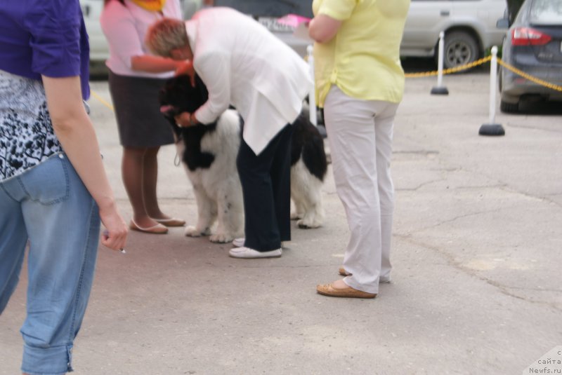 Фотография № 155982