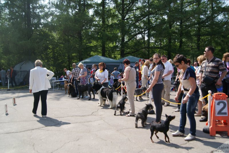 Фотография № 155983