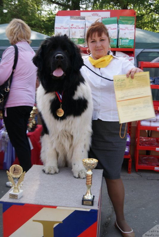 Фотография № 155984